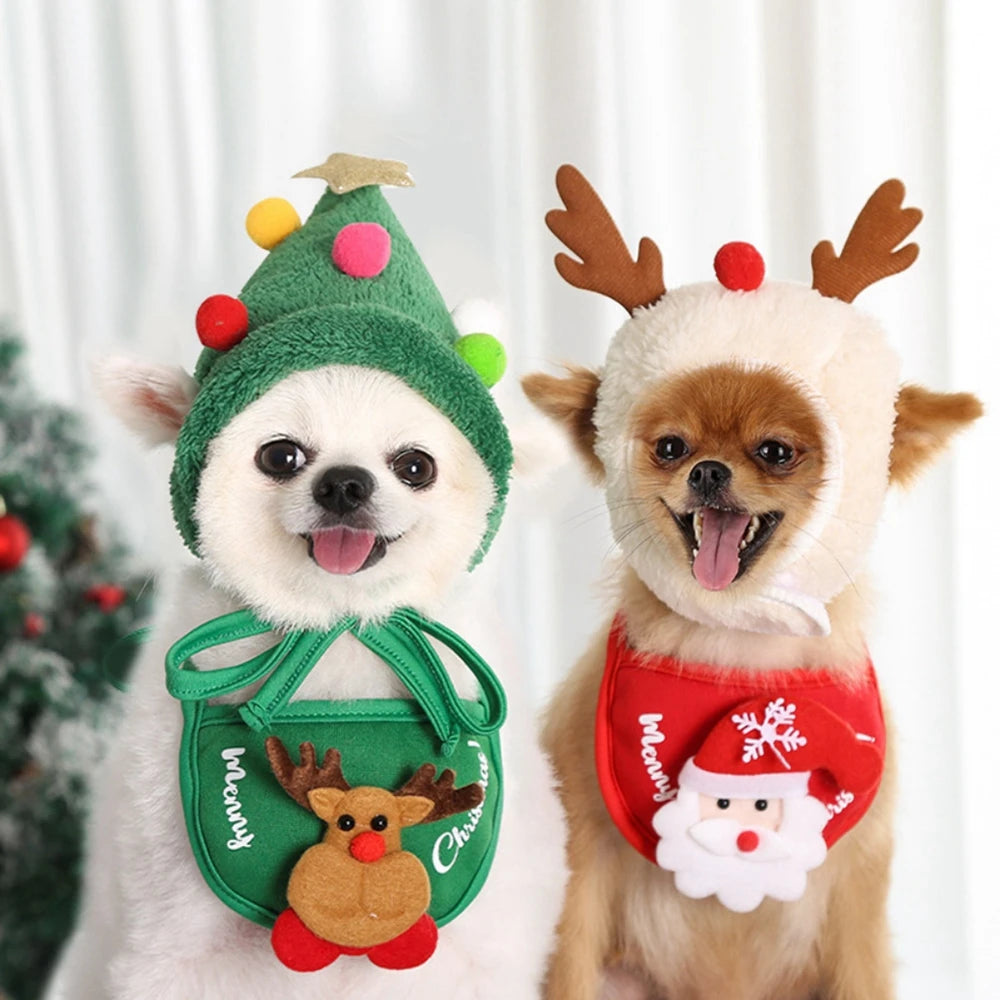PawTree™